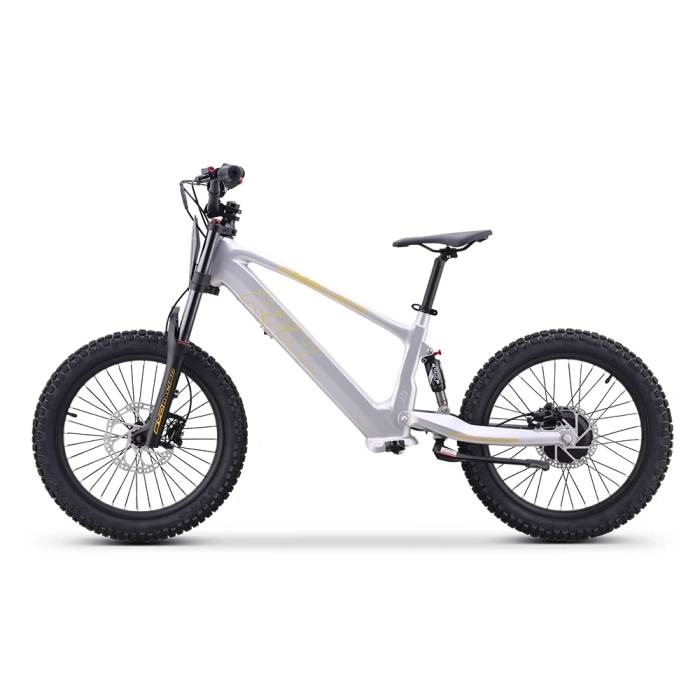 rfn evo racing 20 silver