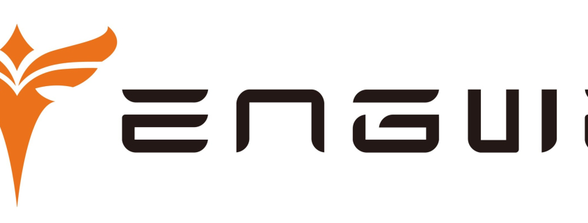engwe slovenija