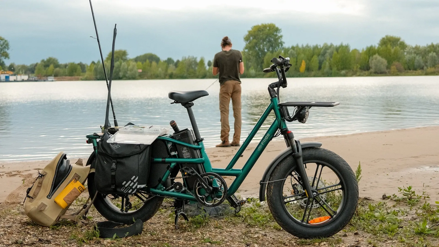 fiido t2 cargo bike