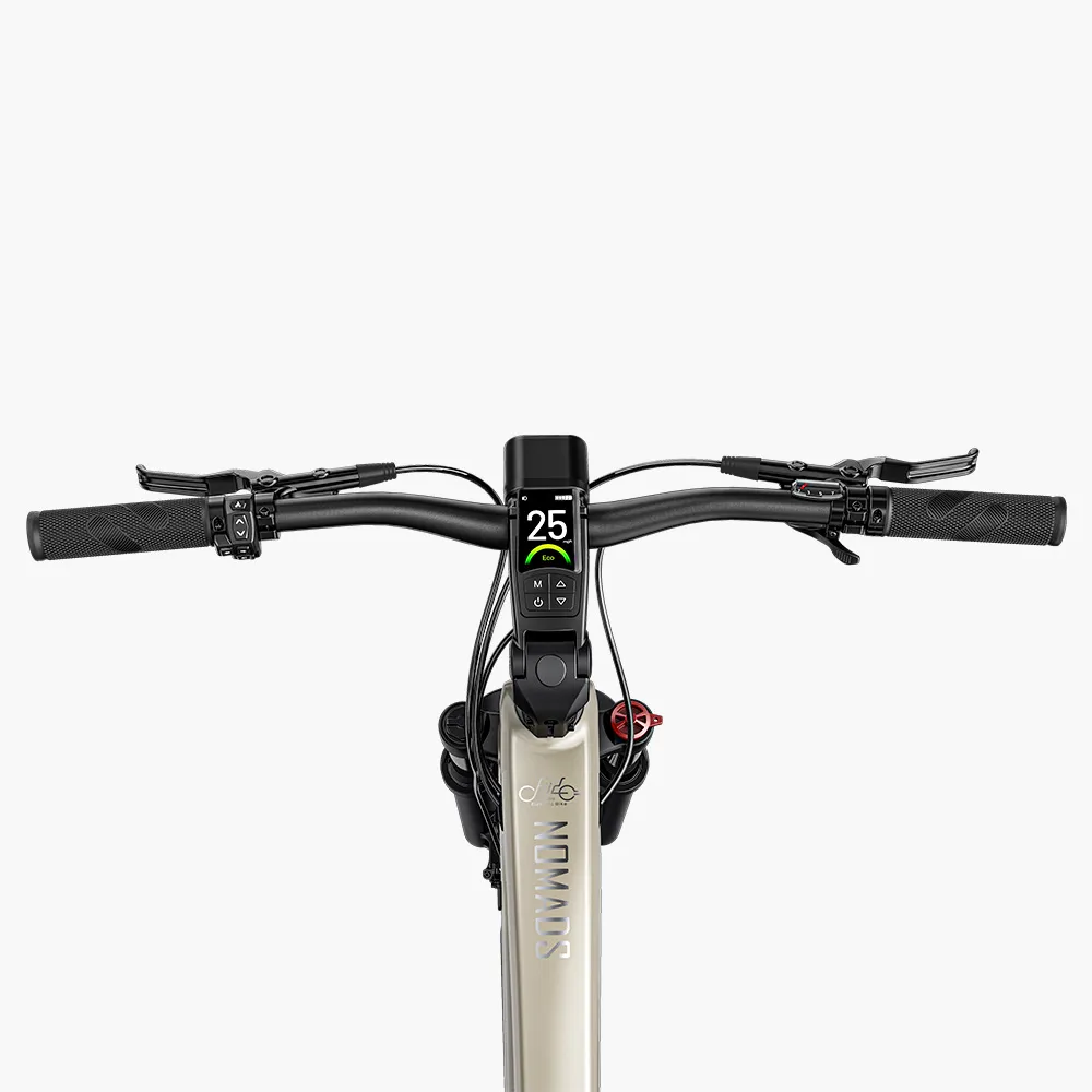 fiido touring e bike