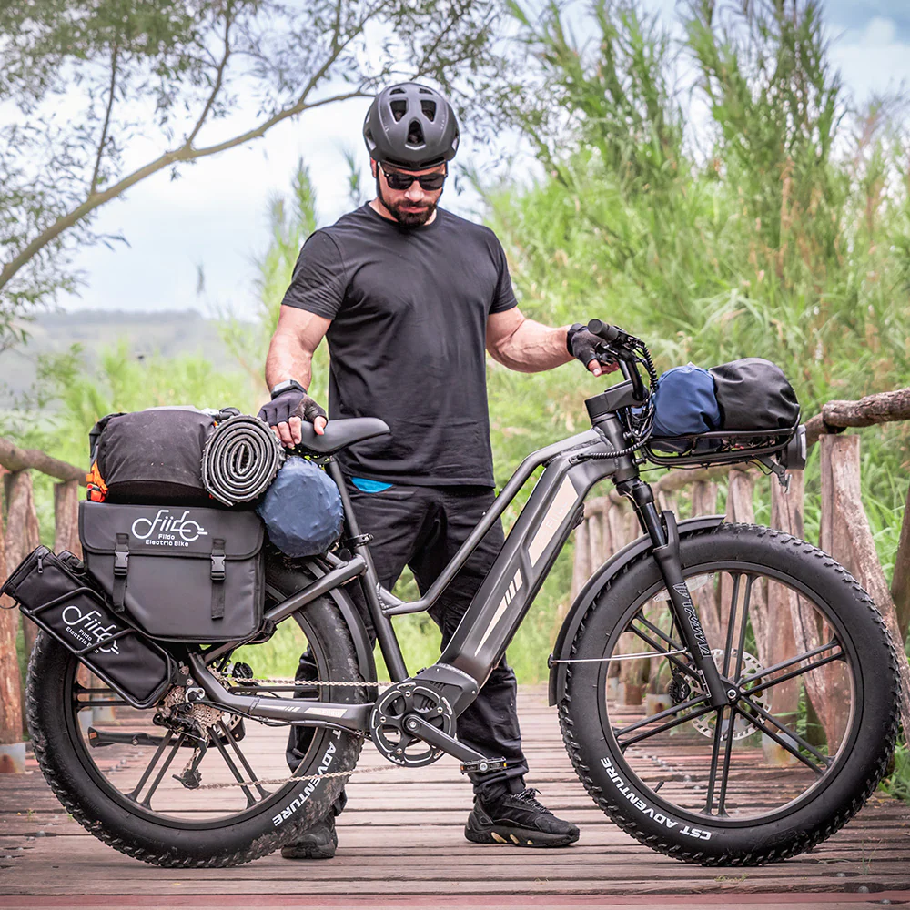 treking e bike fiido titan