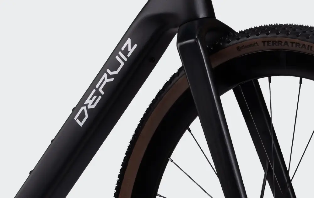 Deruiz Santa Maria E-Gravel (13,6 kg, Carbon, 40 Nm) - slika 11